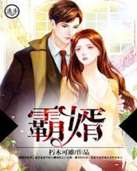 霸婿(又名:不败战神 )