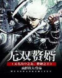 无双赘婿(又名人中之龙、赘婿之王)