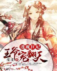 透视狂妃:王爷宠翻天