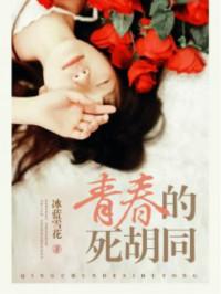 青春的死胡同