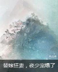替嫁狂妻,夜少宠爆了