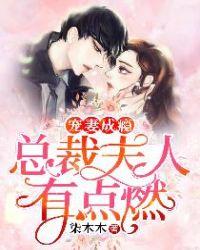 宠妻成瘾:总裁夫人有点燃