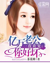 一夜欢宠:亿万老公你好坏