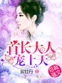 首长大人宠上天