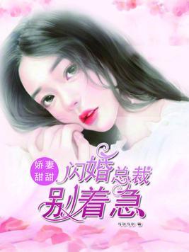 娇妻甜甜:闪婚总裁别着急
