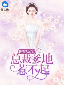 傲娇双宝:总裁爹地惹不起
