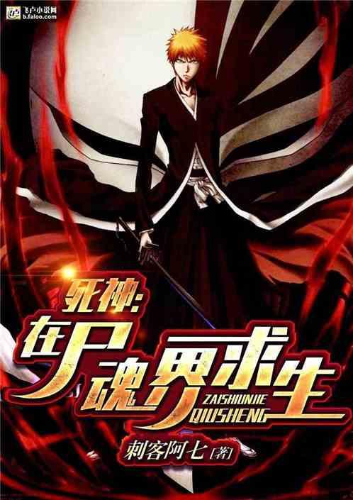 死神:在尸魂界求生