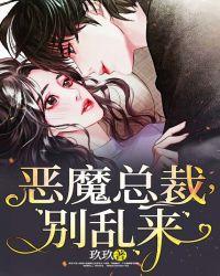恶魔总裁,别乱来