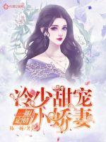 一眼定情:冷少甜宠小娇妻