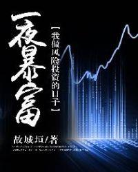 一夜暴富:我做风险投资的日子