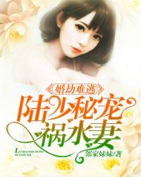 婚劫难逃:陆少秘宠祸水妻