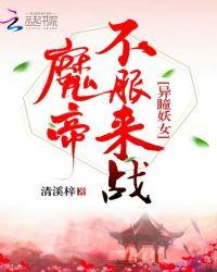 异瞳妖女:魔帝,不服来战