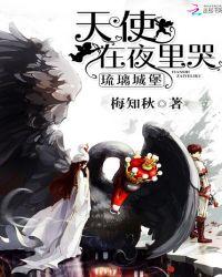 琉璃城堡:天使在夜里哭