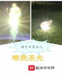 唯我圣光