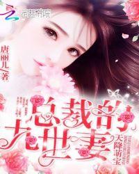 天降萌宝:总裁的九世妻