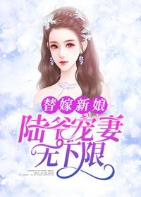 替嫁新娘:陆爷宠妻无下限