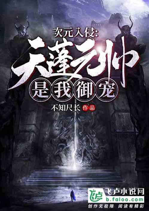 次元入侵:天蓬元帅是我御宠!
