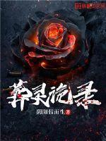 葬灵诡录