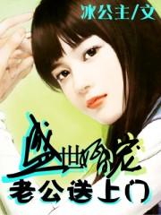盛世婚宠:老公送上门冰公主