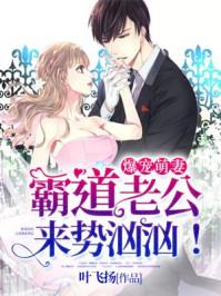 爆宠萌妻:霸道老公来势汹汹!