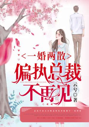 一婚两散:偏执总裁不再见