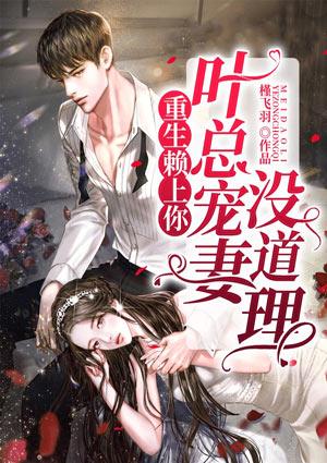 重生赖上你:叶总宠妻没道理