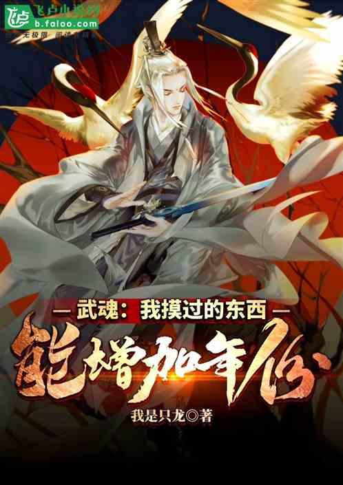武魂:我摸过的东西能增加年份