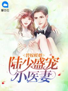 替嫁暖婚:陆少盛宠小医妻