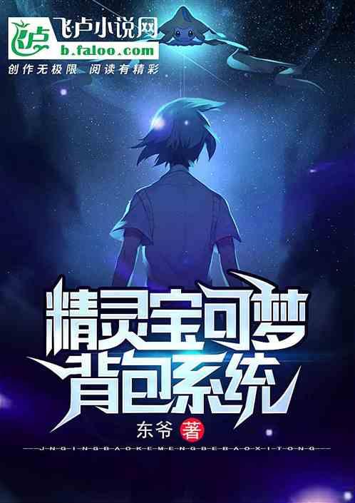 精灵宝可梦:背包系统