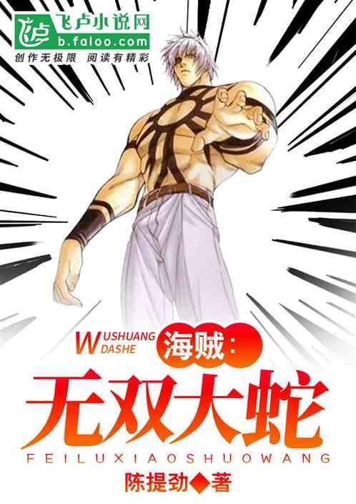 海贼:无双大蛇