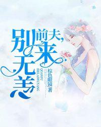 前夫,别来无恙