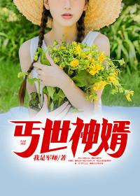王浩柳仙儿