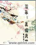 倾华:医妃天下