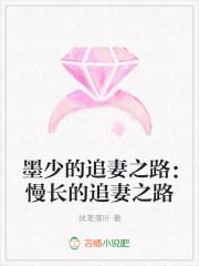 墨少的追妻之路:慢长的追妻之路