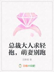 总裁大人求轻抱,萌妻别跑