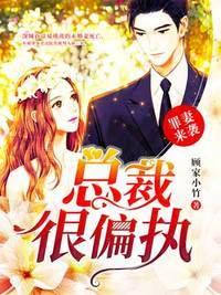 罪妻来袭:总裁很偏执