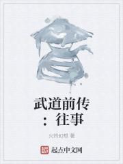 武道前传:往事