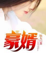 豪婿(又名:超级女婿)