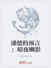 潘德的预言:暗夜幽影