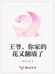 王爷,你家的花又翻墙了