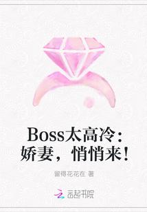Boss太高冷:娇妻,悄悄来!