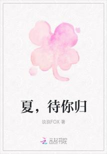 夏,待你归