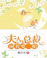 夫人,总裁闹着要二胎