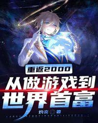 重返2000:从做游戏到世界首富