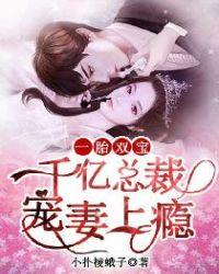 一胎双宝:千亿总裁宠妻上瘾