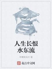人生长恨水东流