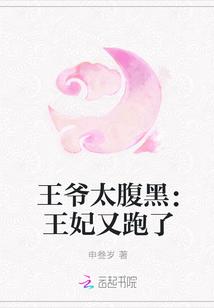 王爷太腹黑:王妃又跑了