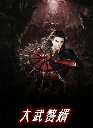 大武赘婿