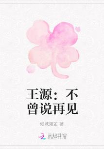 王源:不曾说再见
