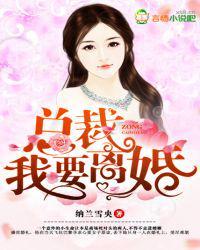 总裁,我要离婚